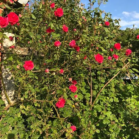 Refugium In Ostseenaehe Surendorf Esterno foto