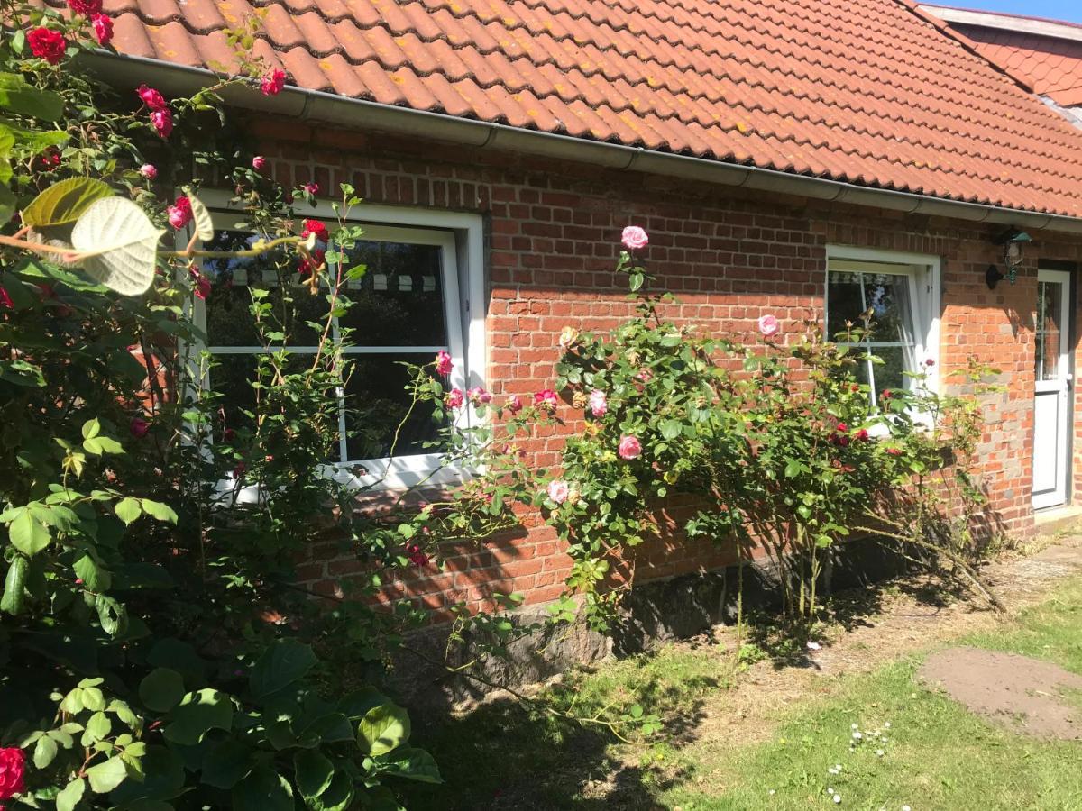 Refugium In Ostseenaehe Apartment