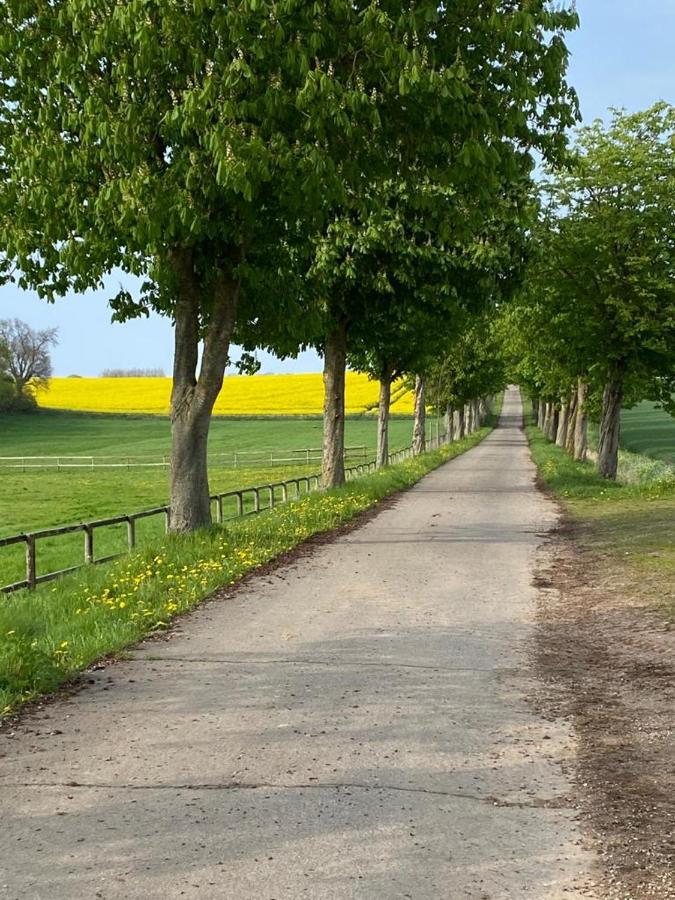 Refugium In Ostseenaehe *
